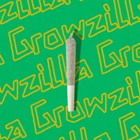 Pre-Rolls