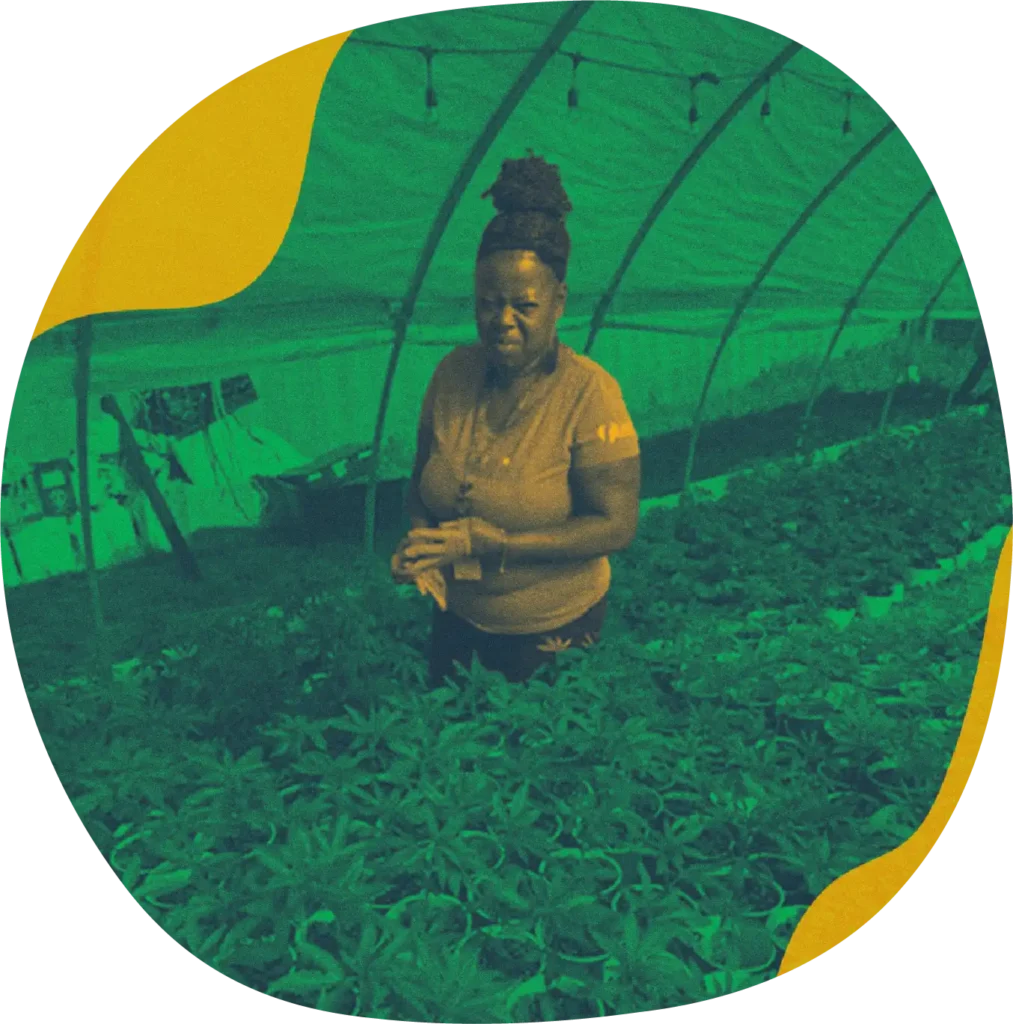 Asset 7